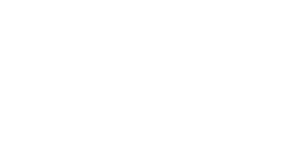 ELEVYZ
