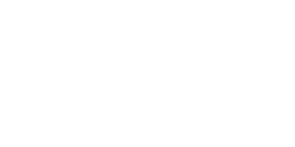 NEO JAPONISM
